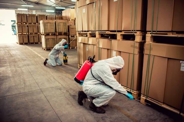 Pest Control for Restaurants in Aiea, HI