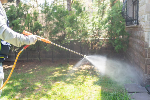 Reliable Aiea, HI Pest Control Solutions